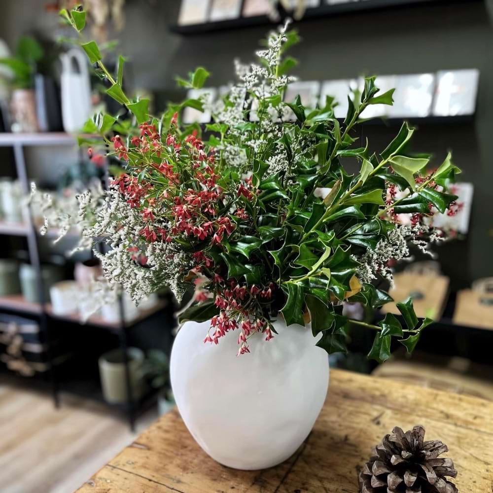 Christmas Foliage & Christmas Bush (Available from Wednesday 20th Dec)